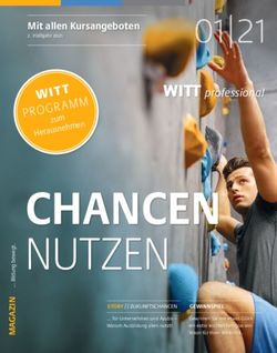 CHANCEN NUTZEN - witt-professional.de