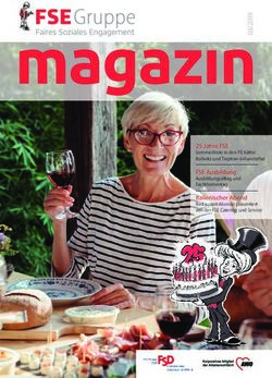 25 Jahre FSE Sommerfeste in den PE Käthe Kollwitz und Treptow-Johannisthal - FSE Ausbildung - FSE Gruppe