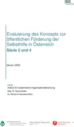 Evaluierung des Konzepts zur öffentlichen Förderung der Selbsthilfe in Österreich - Säule 2 und 4