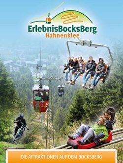 DIE ATTRAKTIONEN AUF DEM BOCKSBERG - NALLMAG