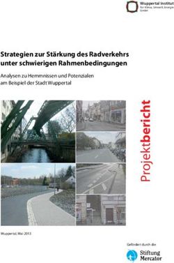 Strategien zur Stärkung des Radverkehrs unter schwierigen Rahmenbedingungen - Analysen zu Hemmnissen und Potenzialen am Beispiel der Stadt ...