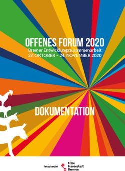 DOKUMENTATION - Offenes Forum 2020 Bremer Entwicklungszusammenarbeit 27. OKTOBER - 24. NOVEMBER 2020 - Rathaus Bremen