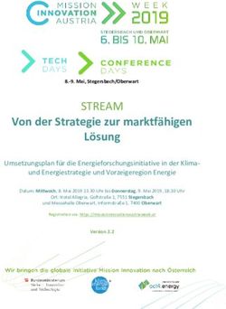 STREAM Von der Strategie zur marktf&auml;higen L&ouml;sung - Umsetzungsplan f&uuml;r die Energieforschungsinitiative in der Klima-Mission ...