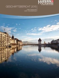 Geschäftsbericht 2015 - Luzern.com
