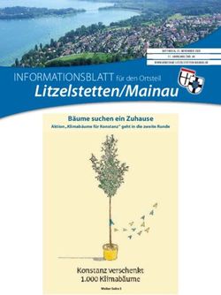 Litzelstetten/Mainau INFORMATIONSBLATT f&uuml;r den Ortsteil - B&auml;ume suchen ein Zuhause - Stadt Konstanz