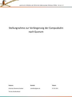 STELLUNGNAHME ZUR VERLÄNGERUNG DER CAMPUSBAHN NACH QUERUM - LEHOWA