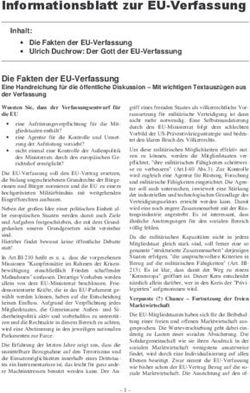 Informationsblatt zur EU-Verfassung