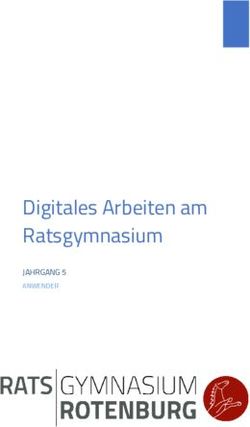 Digitales Arbeiten am Ratsgymnasium - JAHRGANG 5 ANWENDER