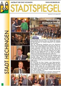 NEUJAHRS-BÜRGERTREFF 2017 - Stadt Hechingen