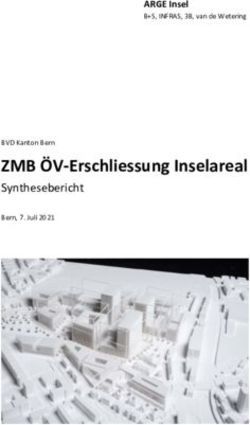 ZMB &Ouml;V-Erschliessung Inselareal - Synthesebericht - ARGE Insel - Quartiermitwirkung ...