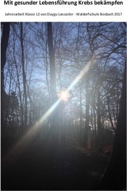 Mit gesunder Lebensführung Krebs bekämpfen - Jahresarbeit Klasse 12 von Duygu Lancaster Waldorfschule Bexbach 2017 - Der beherzte Patient