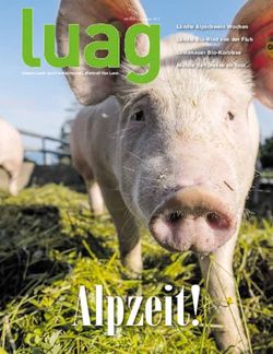 L&auml;ndle Alpschwein Wochen L&auml;ndle Bio-Rind von der Fluh Lustenauer Bio-K&uuml;rbisse Mobile Saftpresse on Tour