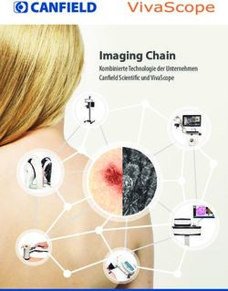 Imaging Chain Kombinierte Technologie der Unternehmen Canfield Scientific und VivaScope