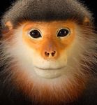 ZEICHEN SETZEN FÜR DEN NATURSCHUTZ - WAZA