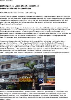 (1) Philippinen: Leben ohne Kokospalmen Metro Manila und die Landflucht