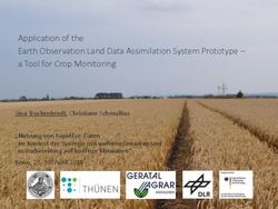 Application of the Earth Observation Land Data Assimilation System Prototype - a Tool for Crop Monitoring
