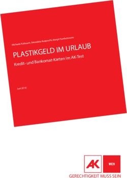 PLASTIKGELD IM URLAUB - Kredit- und Bankomat-Karten im AK-Test Margit Handschmann - Arbeiterkammer