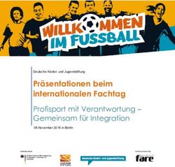 Pr&auml;sentationen beim internationalen Fachtag - Profisport mit Verantwortung - Gemeinsam f&uuml;r Integration - DKJS