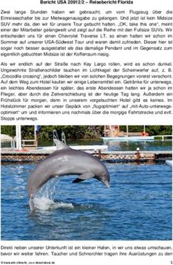 Bericht USA 20912/2 - Reisebericht Florida