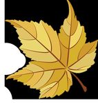 Liste geeigneter Unternehmen - &Ouml;sterreichs Datenbank f&uuml;r Eignungsnachweise