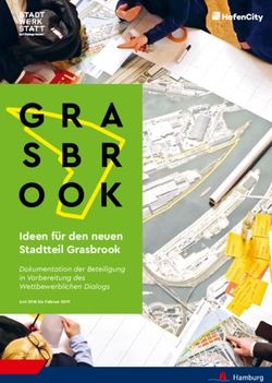 Ideen für den neuen Stadtteil Grasbrook - Dokumentation der Beteiligung in Vorbereitung des Wettbewerblichen Dialogs - GeoPortal