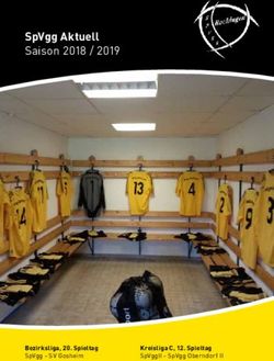 SPVGG AKTUELL SAISON 2018 / 2019 - BEZIRKSLIGA, 20. SPIELTAG SPVGG - SV GOSHEIM KREISLIGA C, 12. SPIELTAG SPVGGII - SPVGG OBERNDORF II