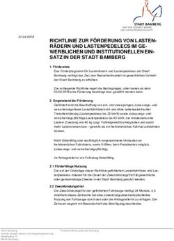 RICHTLINIE ZUR F&Ouml;RDERUNG VON LASTEN-R&Auml;DERN UND LASTENPEDELECS IM GE- WERBLICHEN UND INSTITUTIONELLEN EIN- SATZ IN DER STADT BAMBERG