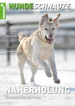 NAHERHOLUNG - HUNDESCHNAUZE - Hundeparadies Oberharz - Uelzener