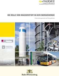 DIE ROLLE VON WASSERSTOFF IN DER ENERGIEWENDE - Entwicklungsstand und Perspektiven