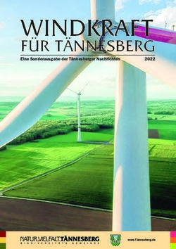 WINDKRAFT FÜR TÄNNESBERG - EINESONDERAUSGABEDERTÄNNESBERGERNACHRICHTEN 2022