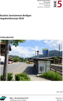 Buslinie Zweisimmen-Boltigen Angebotskonzept 2019 - Schlussbericht - M&auml;rz 2018 - RVK 5