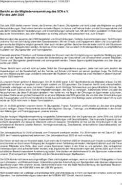 Bericht an die Mitgliederversammlung des SCN e.V. Für das Jahr 2020