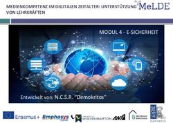 MODUL 4 - E-SICHERHEIT - MEDIENKOMPETENZ IM DIGITALEN ZEITALTER: UNTERSTÜTZUNG VON LEHRKRÄFTEN - MELDE