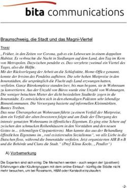 Braunschweig, die Stadt und das Magni-Viertel - bita ...