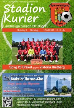 Stadion Kurier - Spvg 20 Brakel