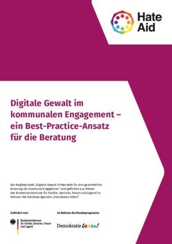 Digitale Gewalt im kommunalen Engagement - ein Best-Practice-Ansatz für die Beratung - Hate Aid