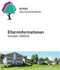 Elterninformationen Schuljahr 2020/21 - Ringgenberg