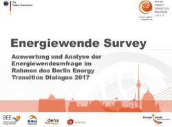 Energiewende Survey Auswertung und Analyse der Energiewendeumfrage im Rahmen des Berlin Energy Transition Dialogue 2017 - Dena