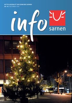 MITTEILUNGSBLATT DER GEMEINDE SARNEN NR. 10 / DEZEMBER 2019