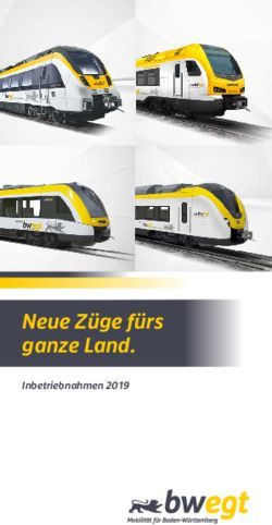 Neue Z&uuml;ge f&uuml;rs ganze Land - bwegt.de