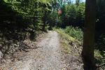 Positionspapier zum Erhalt von permanenten und temporären Kleingewässern in Baden-Württemberg
