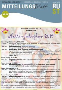 Narrenfahrplan 2019 - Gemeinde Rust