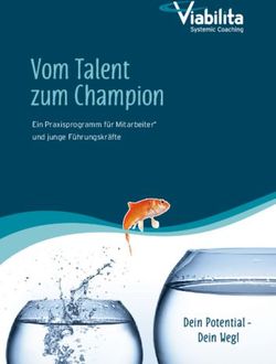 Vom Talent zum Champion - Dein Potential-Viabilita