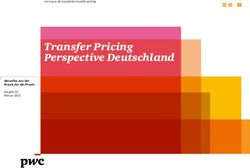 TRANSFER PRICING PERSPECTIVE DEUTSCHLAND - PWC