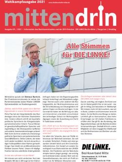 Alle Stimmen f&uuml;r DIE LINKE! - DIE LINKE Berlin Mitte