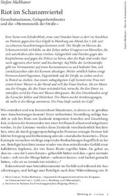 Riot im Schanzenviertel - Stefan Malthaner - Hamburger Edition