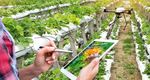 Digitale Zukunft: Lernen. Forschen. Wissen - Die Digitalstrategie des BMBF