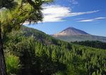 Bahia del Duque & Villas - ITS Coop Travel