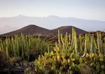 Bahia del Duque & Villas - ITS Coop Travel