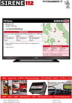 PUTZHAMMER IT - www.SIRENE112.de www.SIRENE112.com SMS + Ausdruck + E Mail + Monitoranzeige + TELEGRAM+ Tablet + TETRA + Fax